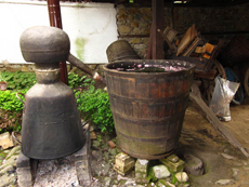 ダマスクローズ