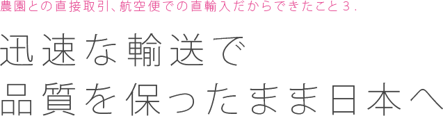 農園との直接取引、航空便での直輸入だからできたこと３：迅速な輸送で品質を保ったまま日本へ
